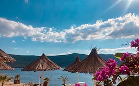 Feral Beach Neum